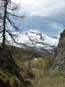 Past the cliff, looking back towards Mont Pourri