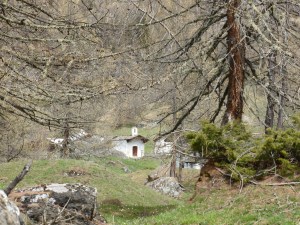 Arriving at Le Monal, the chapel through the pine grove