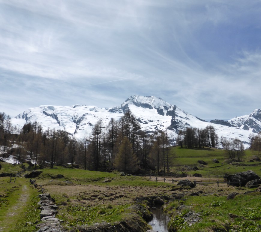 View over the glaciers du Mont Pourri from Le Monal