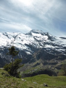 Back on the main track, facing the Mont Pourri