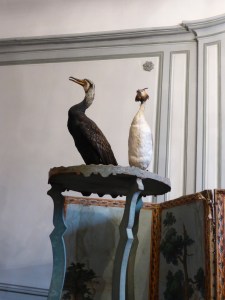 Tupinier: birds watching over our breakfast