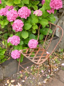 Tupinier: the garden