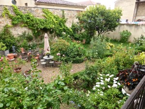 Maison Tupinier: the garden