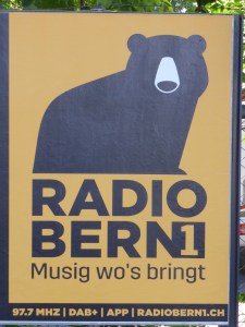 There's only one bear