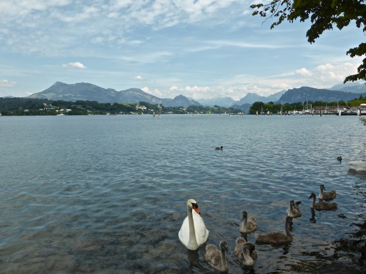 Lucerne: walk on the lakeside