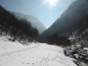 Vallée des chapieux