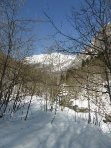 Vallée des chapieux: on the way to Praz Bozon