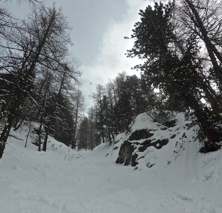 Laisinant forest: through the couloir