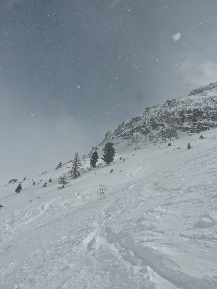 Laisinant: above the tree line