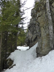 Through the forest on the way to Le Monal