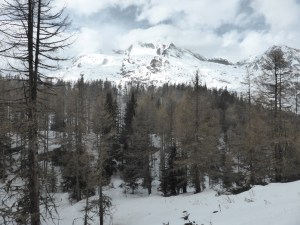 Through the forest, approaching Le Monal