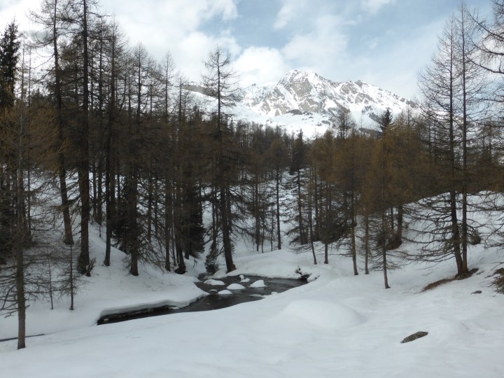 On the way to Le Monal: the Clou stream