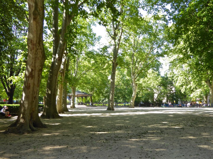 Ambling in the shade of the tall plane trees in the Jardin de ville