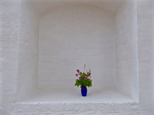 Aarhus cathedral: aquilegias in a niche