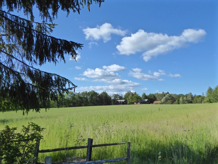 Mellerud: the little house in the Swedish prairie