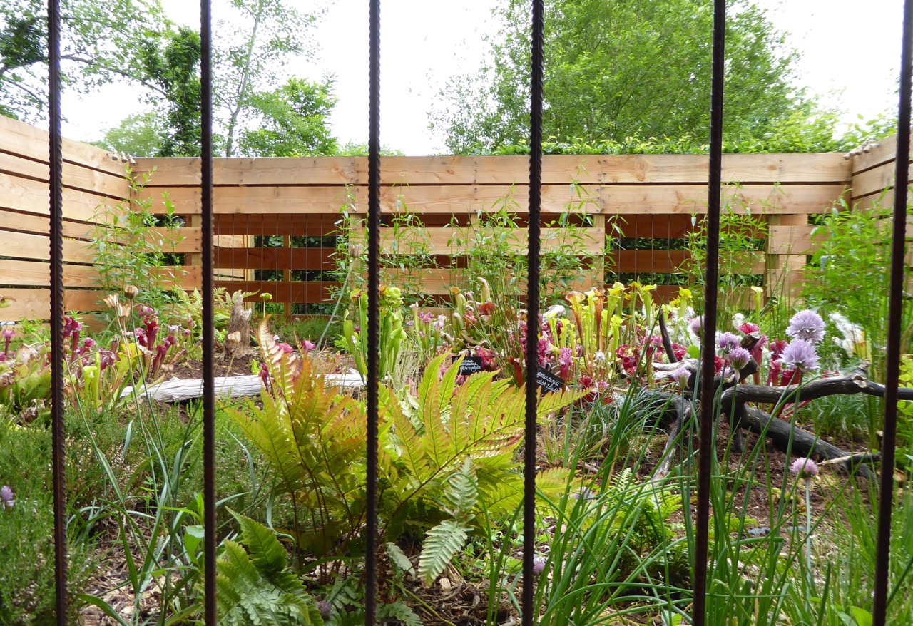 Carnivore Parc: dangerous plants behind bars