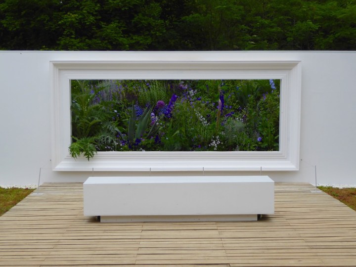 Nuances: dramatic museum setting for live still-life