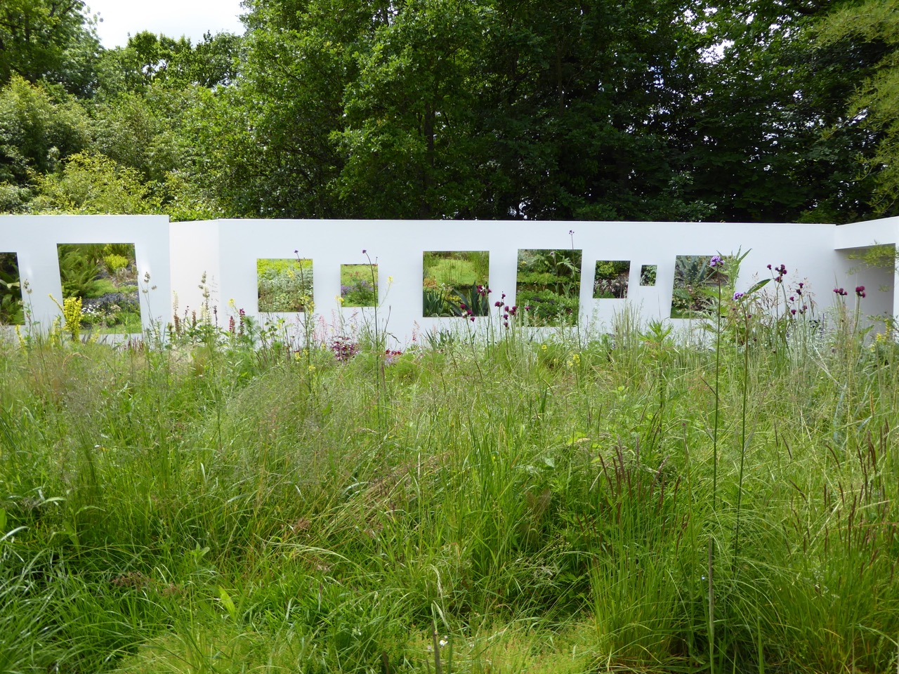 A Collector's Thoughts