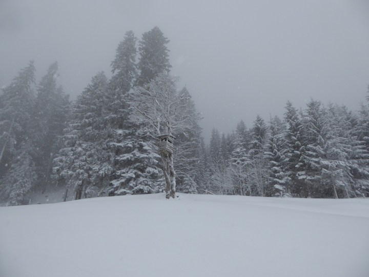 Visibility issues: foggy but nice