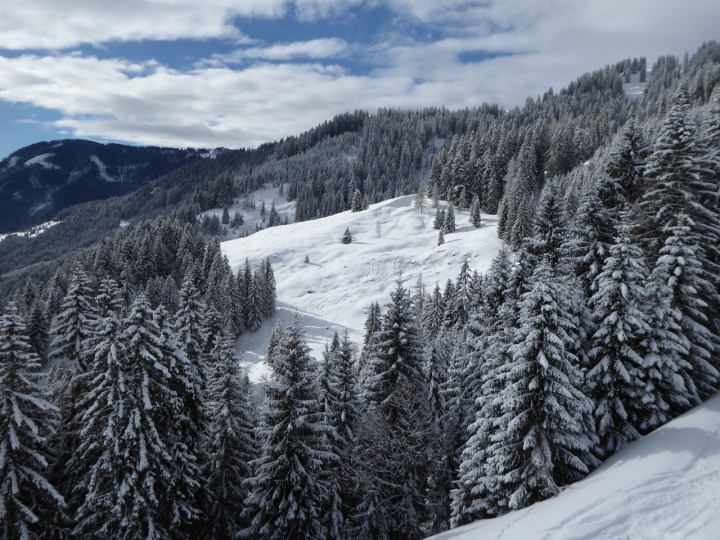 Dienten: skiing the forest off the Gabuhelbahn