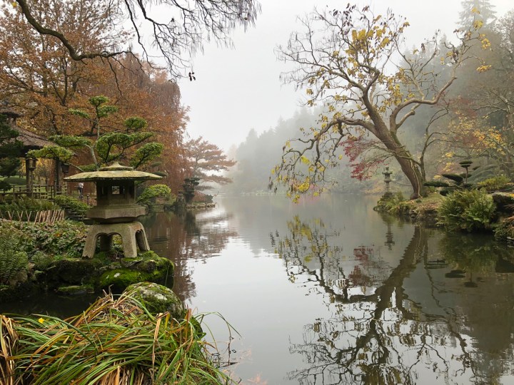 View over the lake in Maulevrier's Japanese gardens