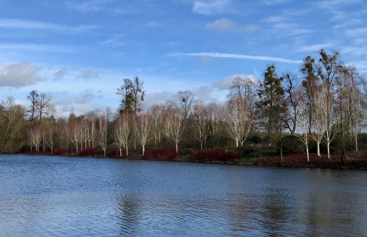 The Millennium Walk from the opposite side of the lake