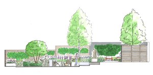 Modernist garden - section-elevation showing the south-east corner