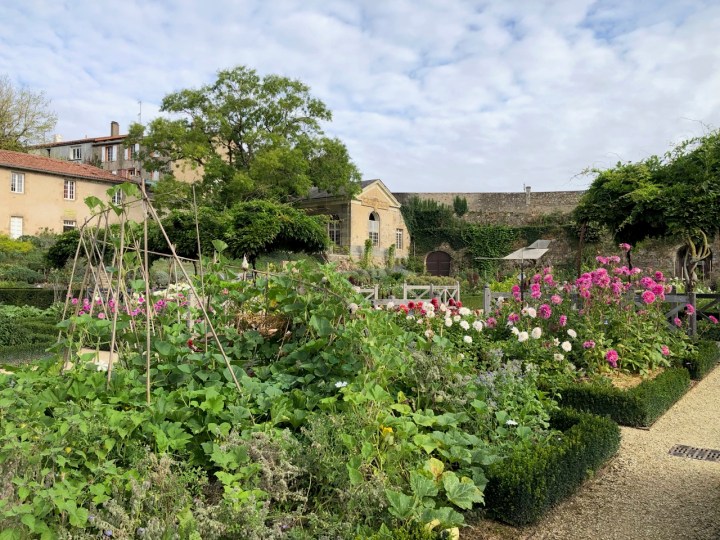Potager Colbert: creative planting lines among the dahlias