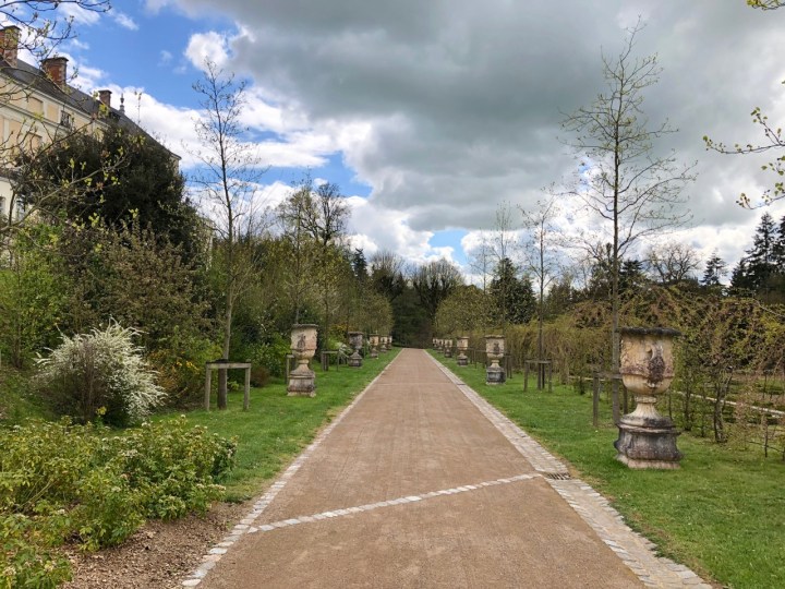 Potager Colbert: the tulip tree avenue on top of the retaining wall