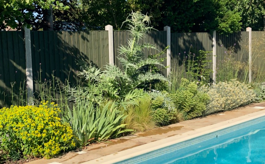 Poolside border
