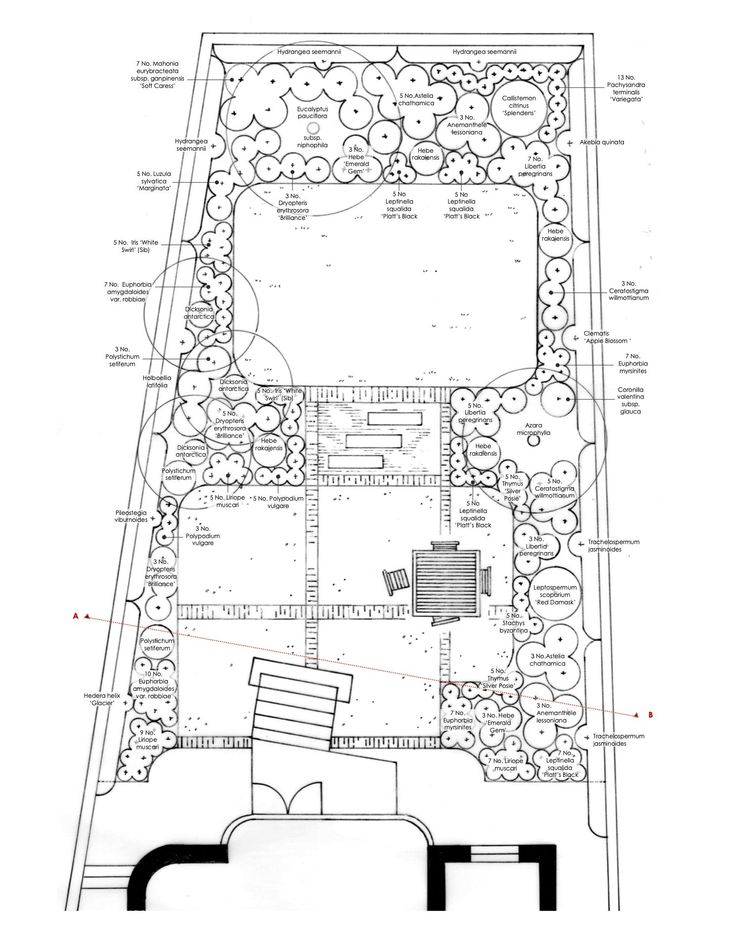 New Zealand garden, planting plan