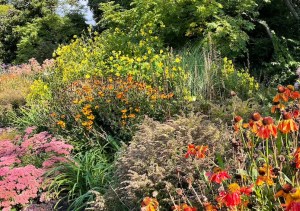 Regent's Park, 28 September 2021