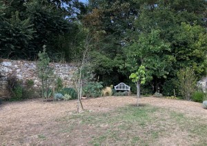 Resilient garden, before: a lawn that turns bare in the summer