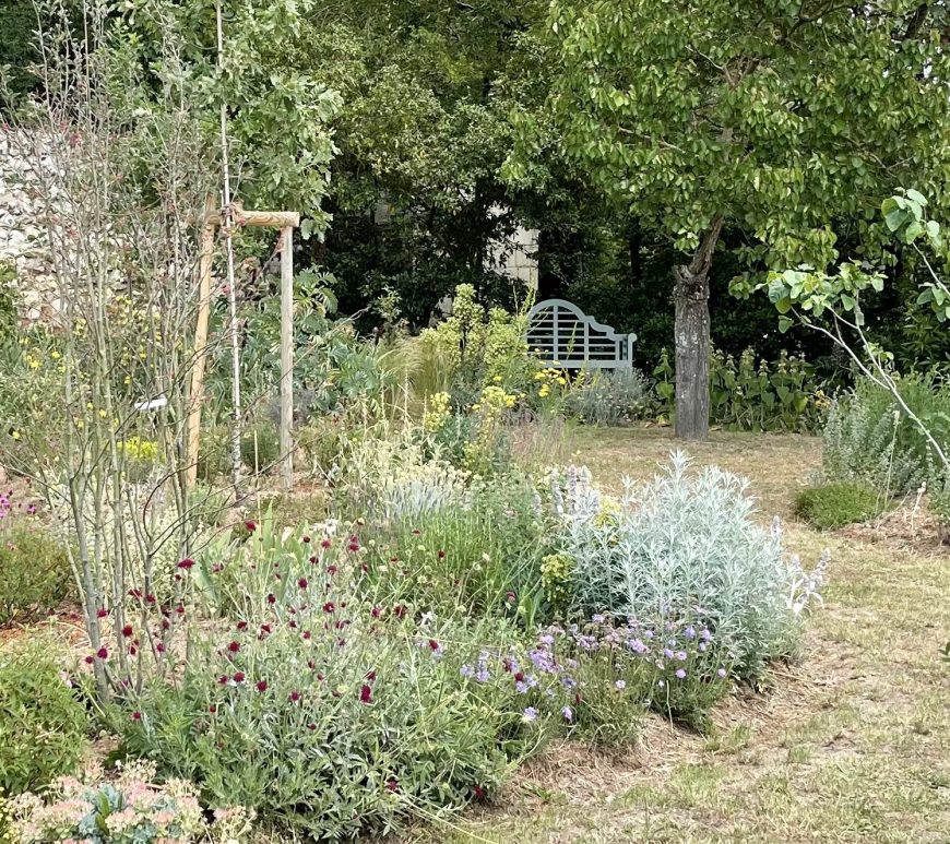 Resilient garden in late spring