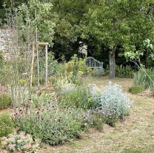 Resilient garden in late spring