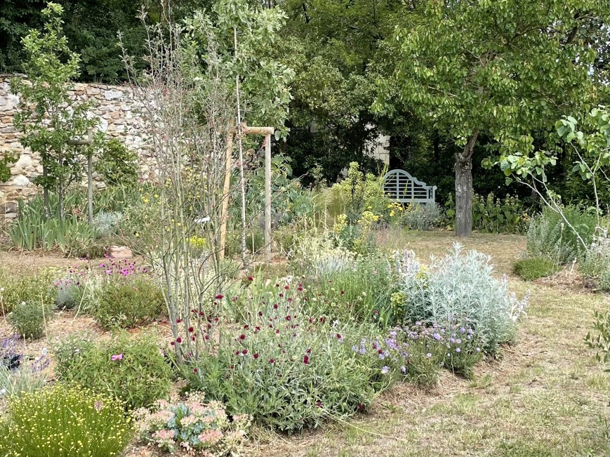 Luberon-inspired garden six months after planting