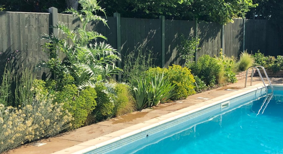 Lush planting along swimming pool