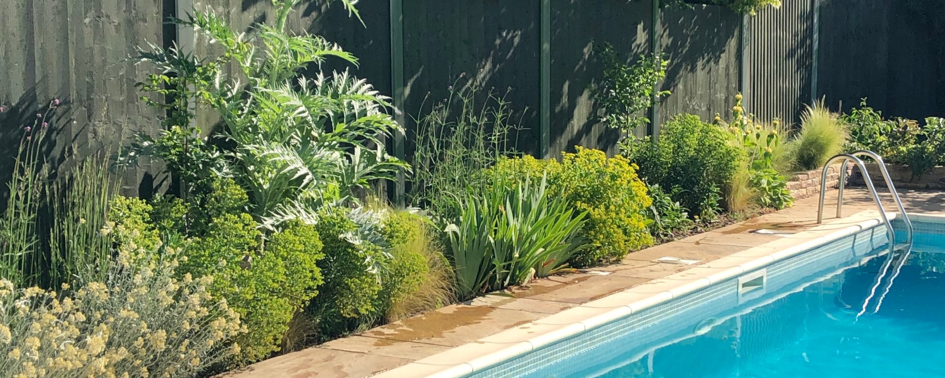 Lush planting along swimming pool