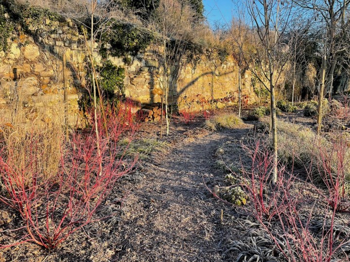 Log piles and bark mulch made from trees felled elsewhere in the garden