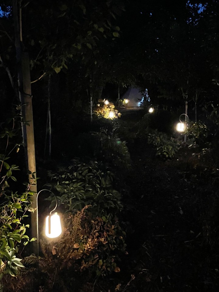 Woodland walk becomes secret path to glamping corner