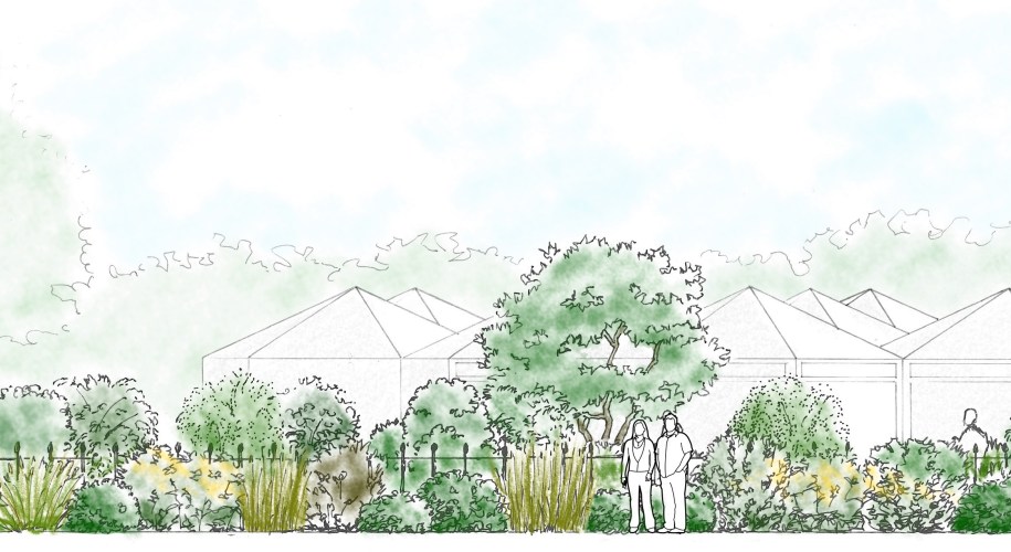 Elevation drawing of the new planting at the Benugo's café in Queen Mary's Gardens