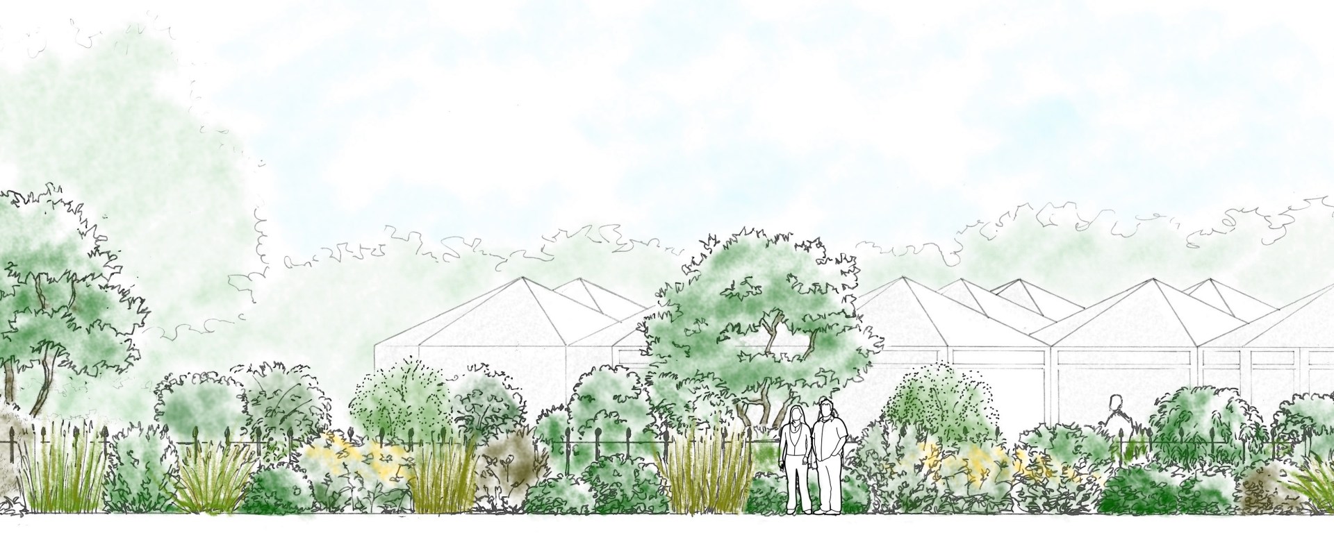 Elevation drawing of the new planting at the Benugo's café in Queen Mary's Gardens