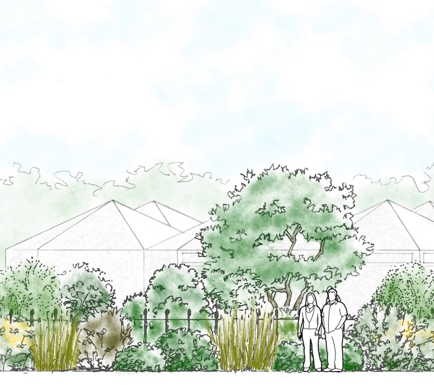 Elevation drawing of the new planting at the Benugo's café in Queen Mary's Gardens