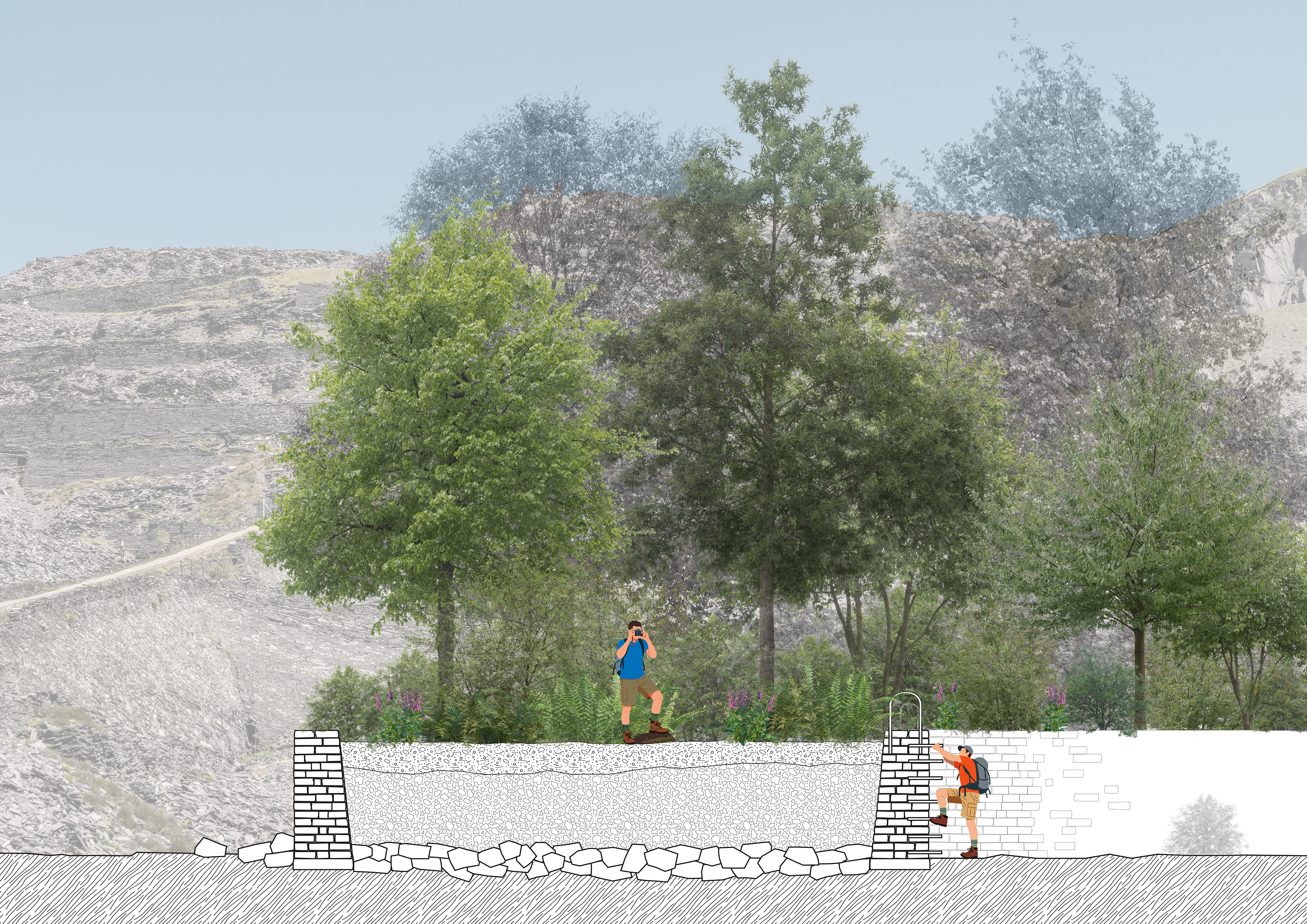 Section showing access to the Future Forest Mill via reverse 'swimming pool' ladders.